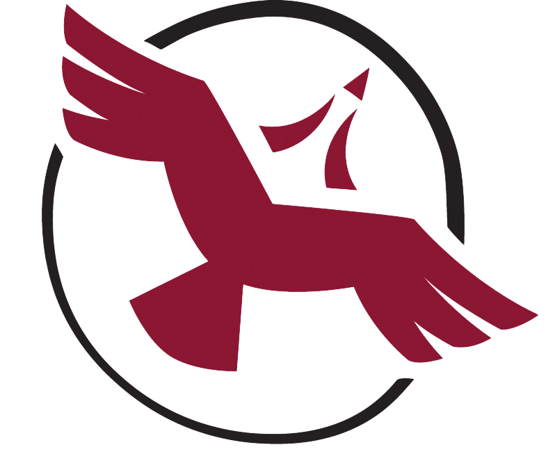 Shared Values Solution Logo